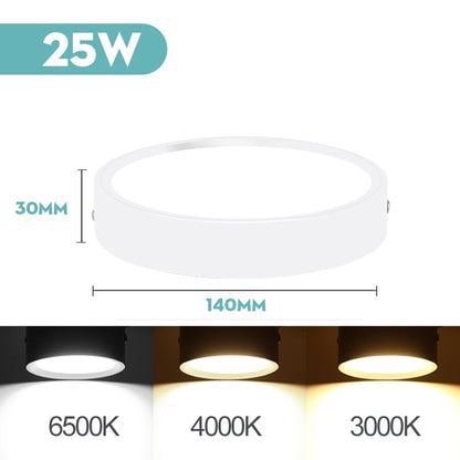 Mini LED Ceiling Lamp Led Ceiling