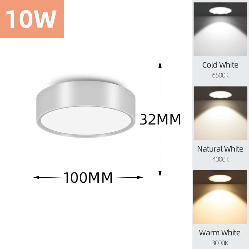 Mini Small LED Ceiling Lamp