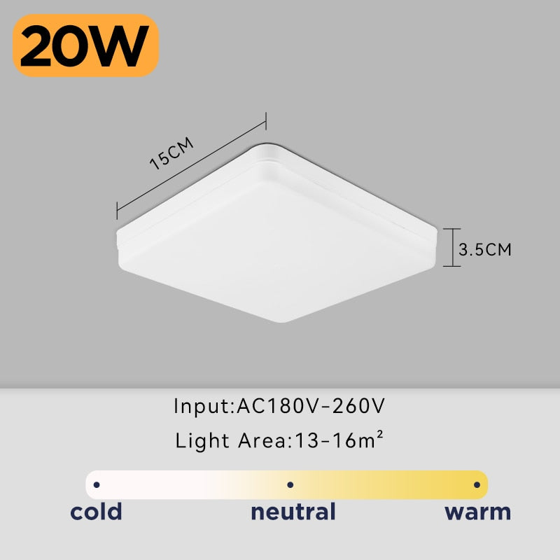 LED Ceiling Lamp Indoor Lighting