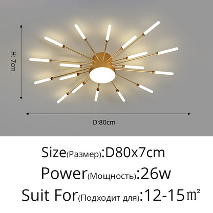 Modern Ceiling Acrylic Lamps Fixture Frame