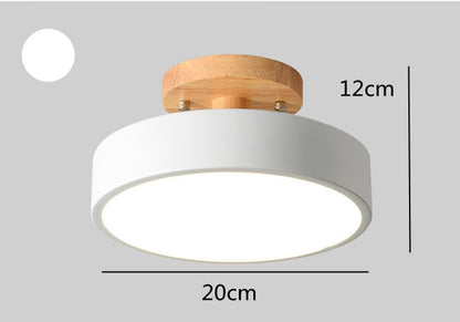 LED Ceiling Lights Modern Chandelier Ceiling lamps