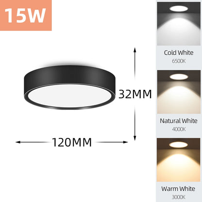 Mini Small LED Ceiling Lamp