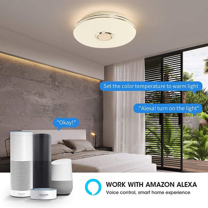 WiFi Modern Smart LED Light Ceiling Lamp