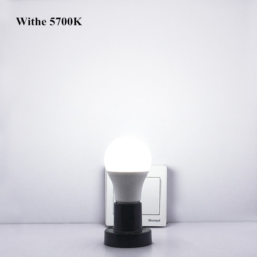 Security Light Automatic On/Off Indoor/Outdoor LED Lamp