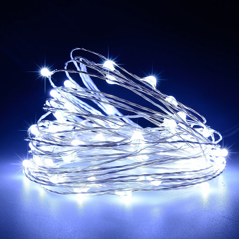 Outdoor LEDs String Lights Fairy