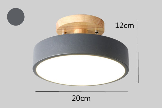 LED Ceiling Lights Modern Chandelier Ceiling lamps