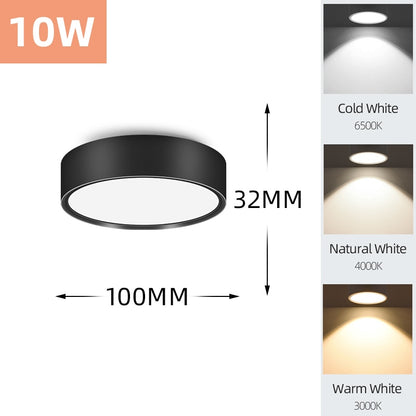 Mini Small LED Ceiling Lamp