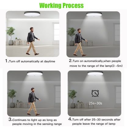 Surface Mounted PIR Motion Sensor