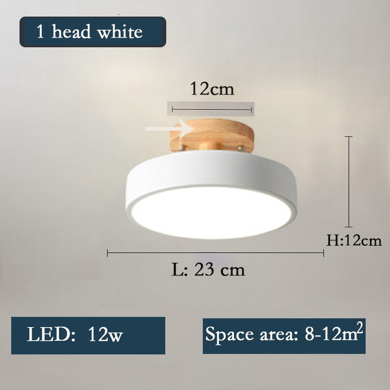 Nordic style living room ceiling chandelier LED light lamp aisle