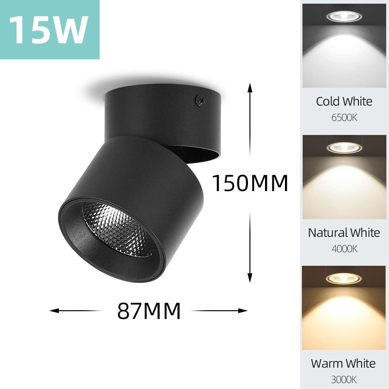 Mini Small LED Ceiling Lamp