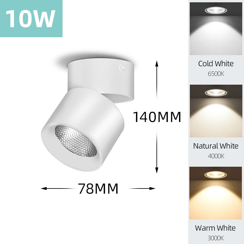 Mini Small LED Ceiling Lamp