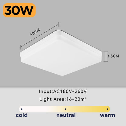 LED Ceiling Lamp Indoor Lighting