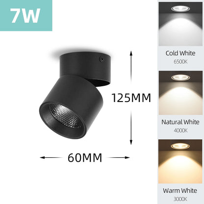 Mini Small LED Ceiling Lamp