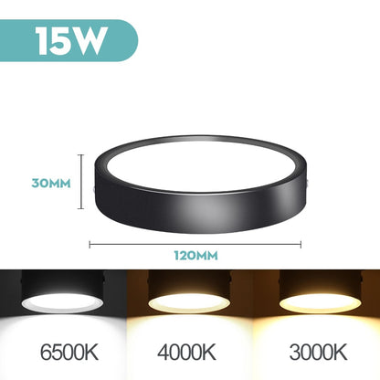 Mini LED Ceiling Lamp Led Ceiling