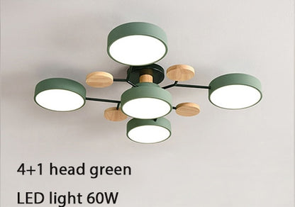 Nordic style living room ceiling chandelier LED light lamp aisle