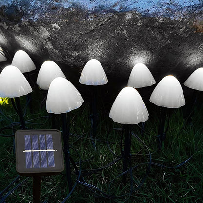 LED Solar String Light Outdoor