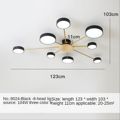 Nordic style living room ceiling chandelier LED light lamp aisle