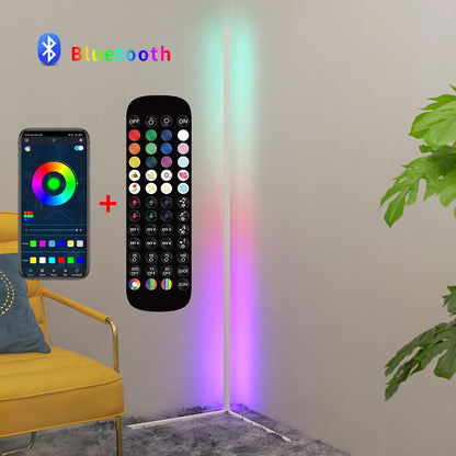 Modern Led Floor Lamp RGB Nordic Floor Lamps