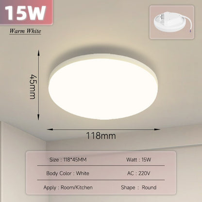 Ultra Thin Ceiling Lighting Fixture