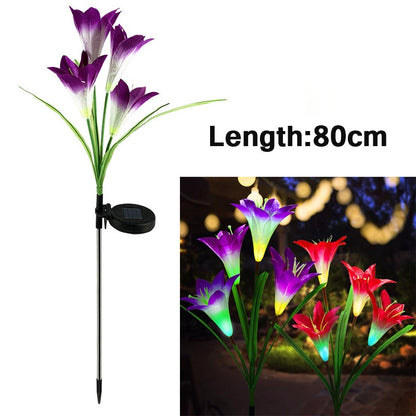 Outdoor LED Solar Light RGB