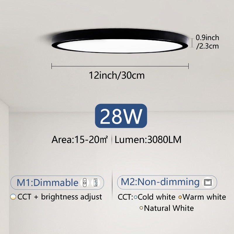 Smart lamp Led ceiling lamp Bedroom