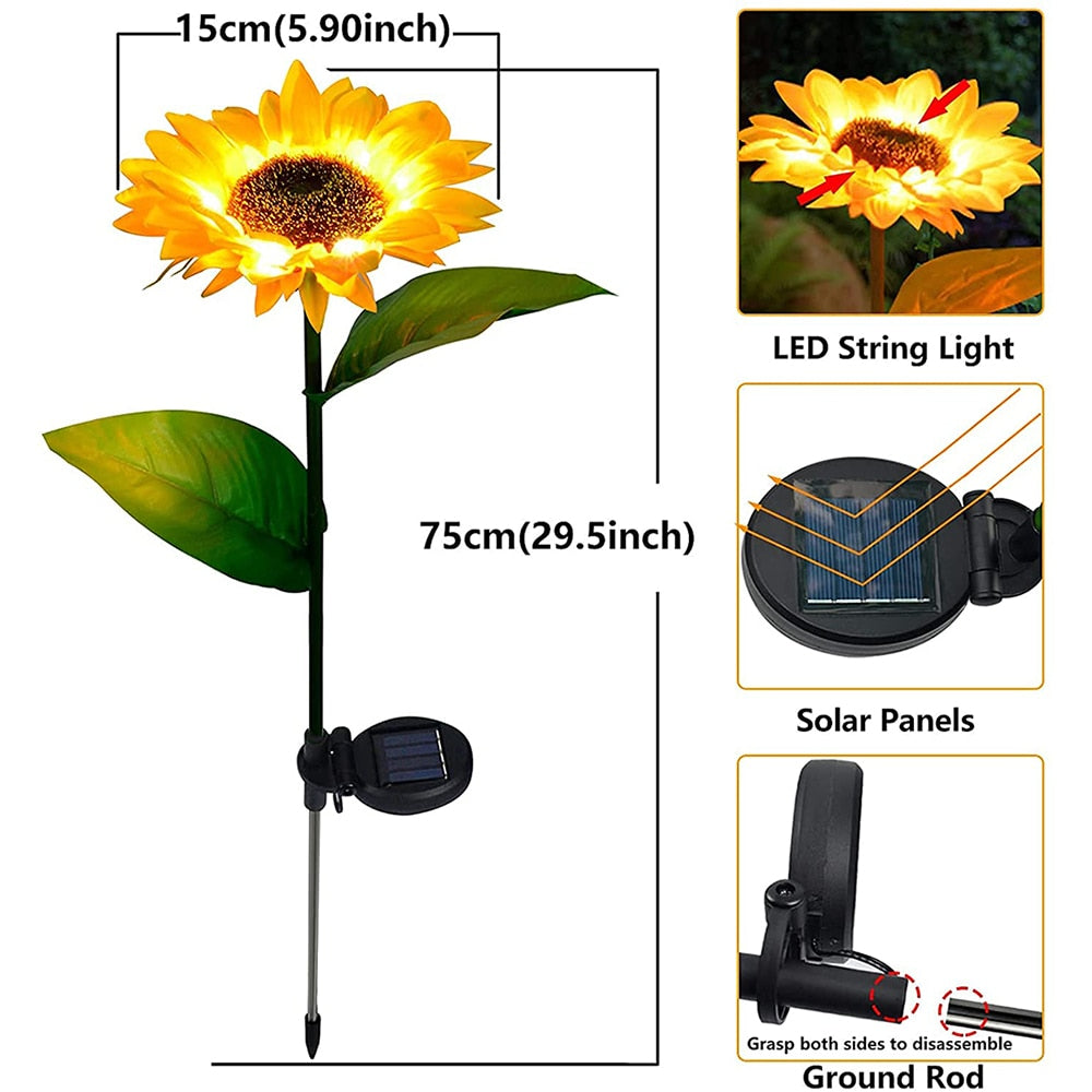 Solar Sunflowers Outside Garden