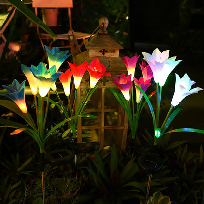 Outdoor Solar Lights for Garden