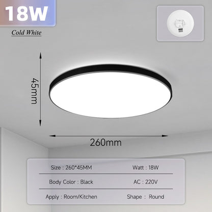 Ultra Thin Ceiling Lighting Fixture