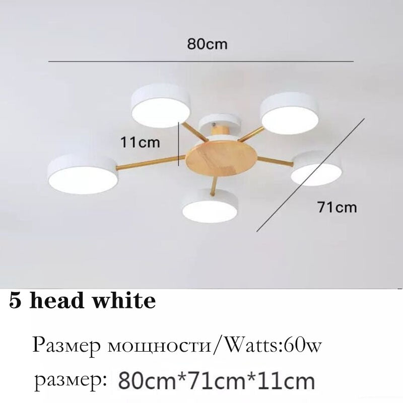 Nordic style living room ceiling chandelier LED light lamp aisle