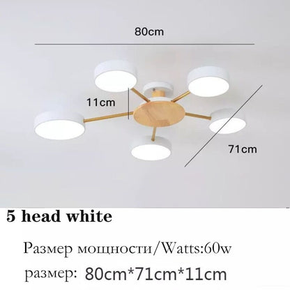 Nordic style living room ceiling chandelier LED light lamp aisle