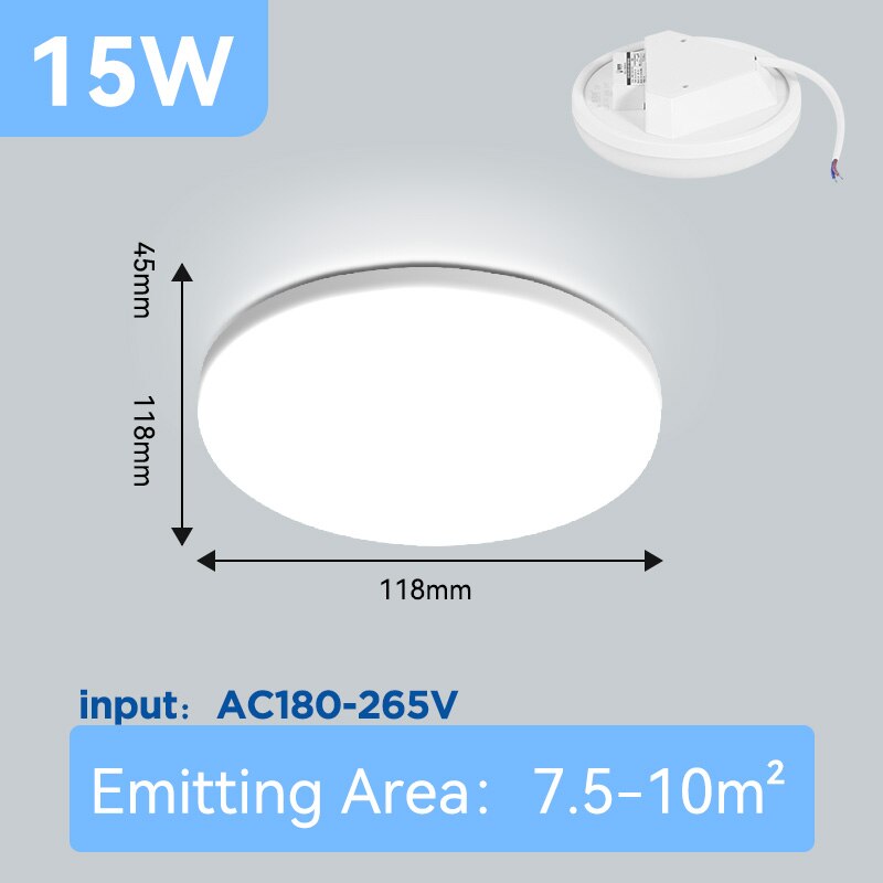 LED Ceiling Lamp Indoor Lighting