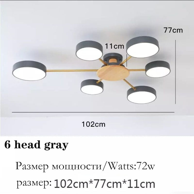 Nordic style living room ceiling chandelier LED light lamp aisle