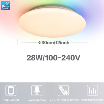 RGB Ceiling Lamp Remote APP Voice control Ceiling Lights