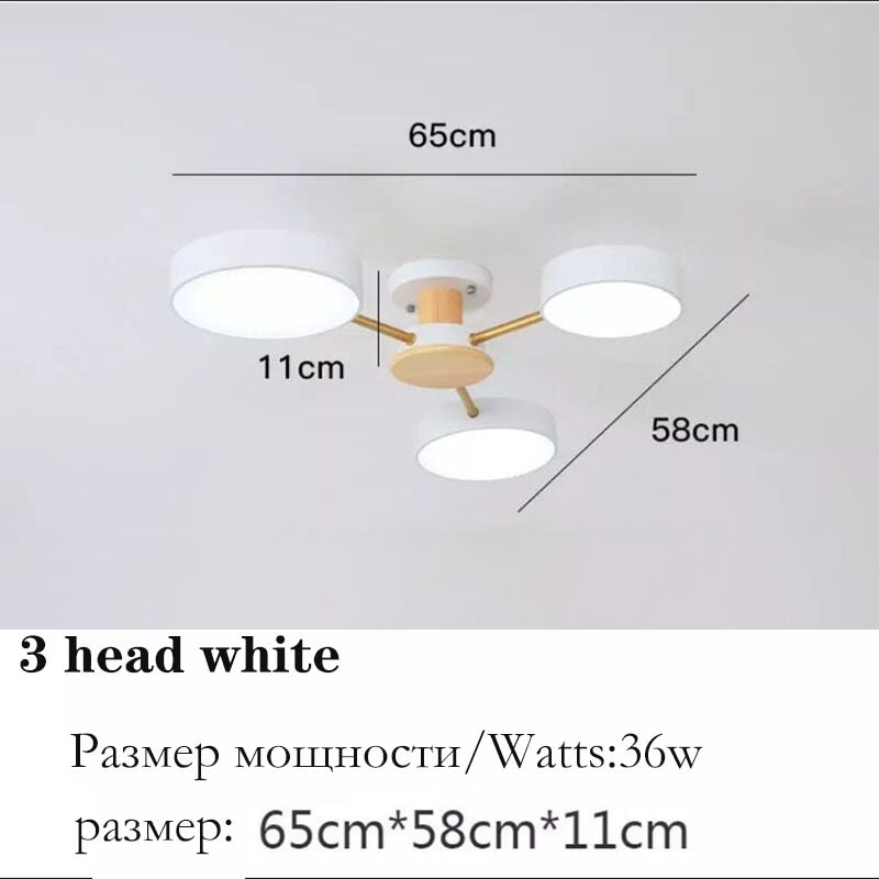 Nordic style living room ceiling chandelier LED light lamp aisle