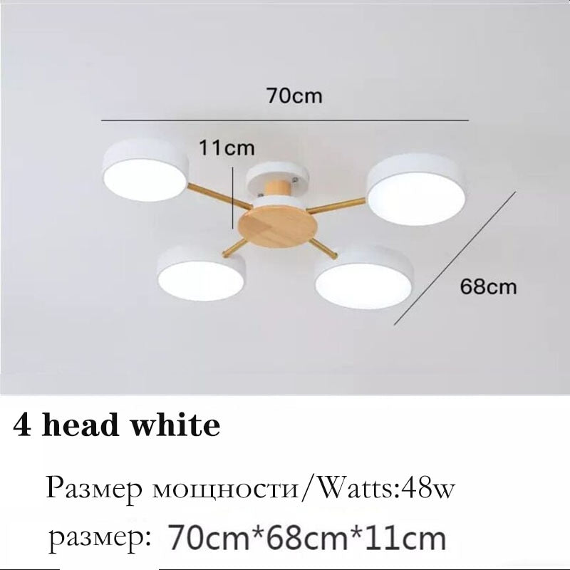 Nordic style living room ceiling chandelier LED light lamp aisle