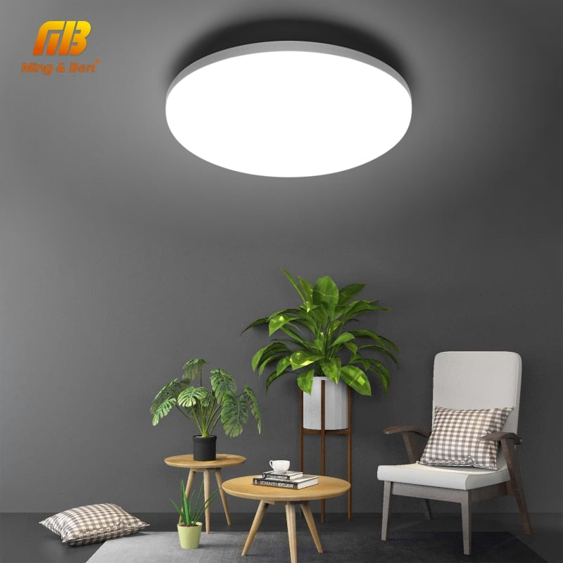 LED Panel Lamp Natural Ceiling Light