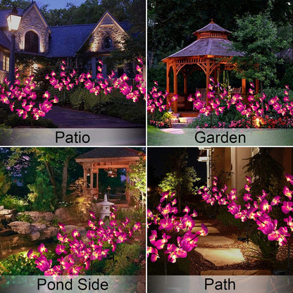 Outdoor Solar Lighting for The Garden