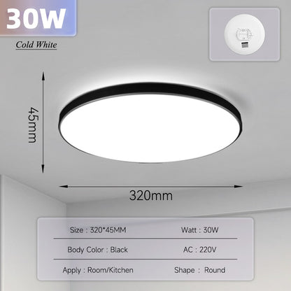 Ultra Thin Ceiling Lighting Fixture