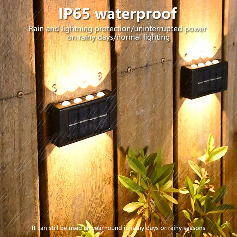 Solar Outdoor Garden Light Up