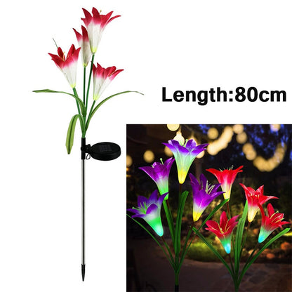 Outdoor LED Solar Light RGB