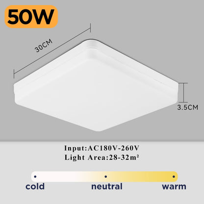 LED Ceiling Lamp Indoor Lighting