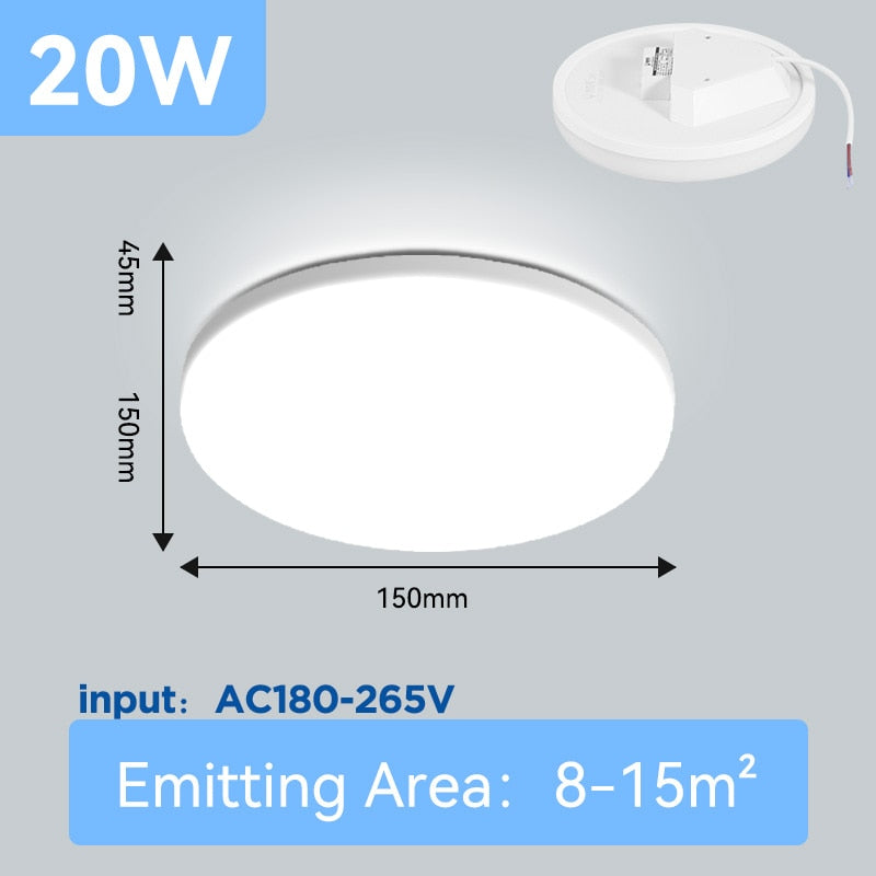 LED Ceiling Lamp Indoor Lighting