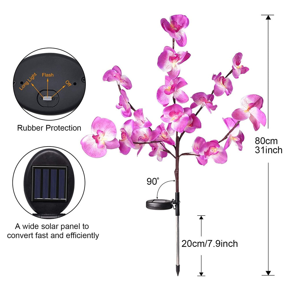 Outdoor Solar Lighting for The Garden