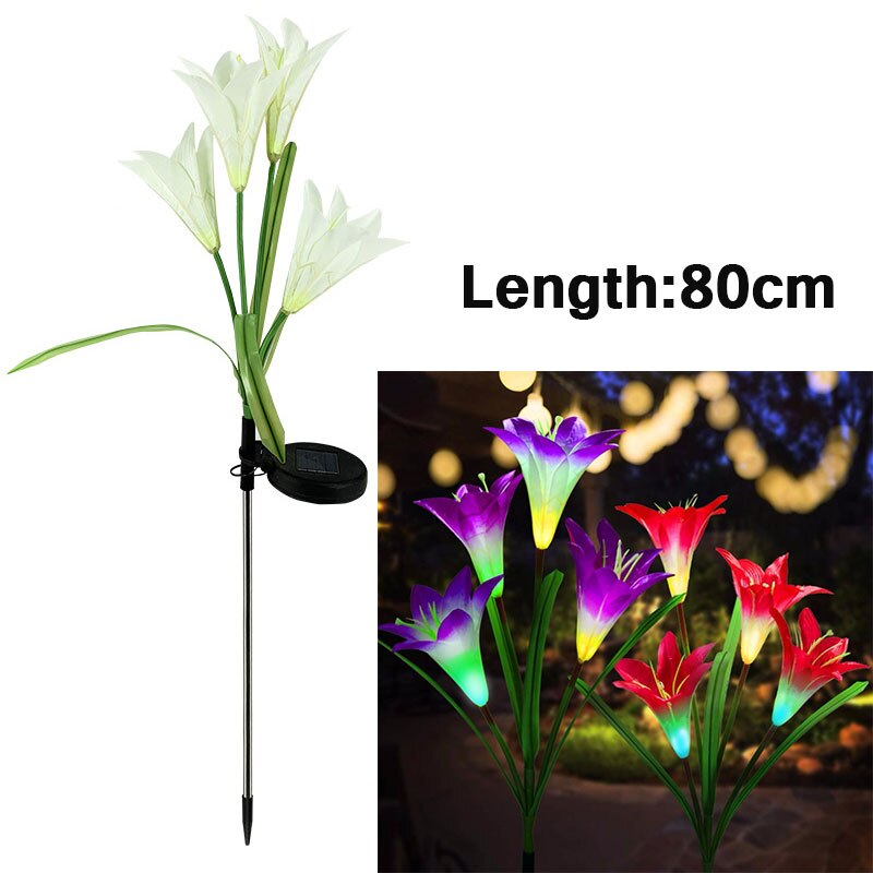 Outdoor LED Solar Light RGB