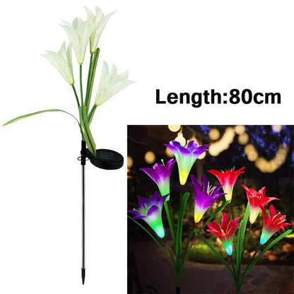 Outdoor LED Solar Light RGB