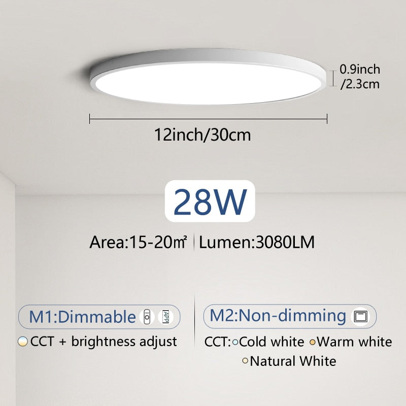 Smart lamp Led ceiling lamp Bedroom