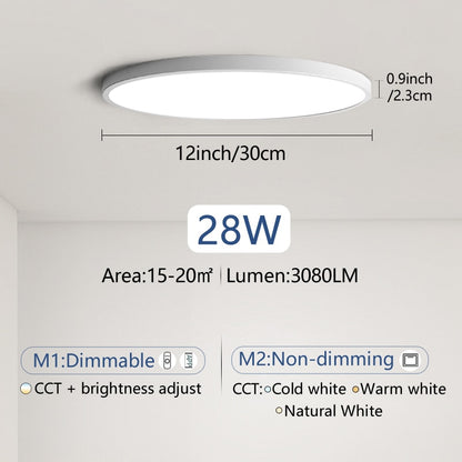 Smart lamp Led ceiling lamp Bedroom