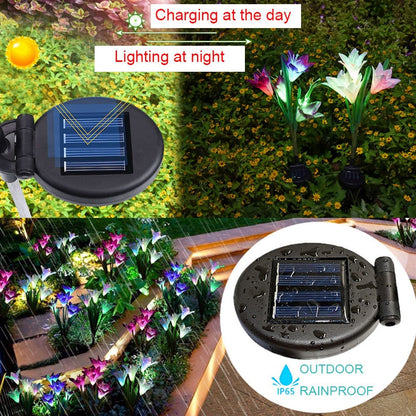 Outdoor LED Solar Light RGB