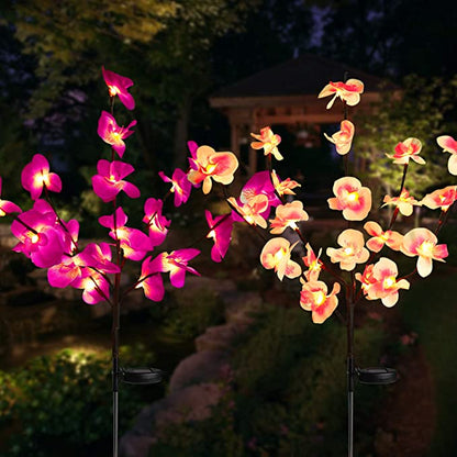 Outdoor Solar Lighting for The Garden