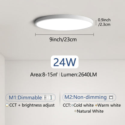 Smart lamp Led ceiling lamp Bedroom